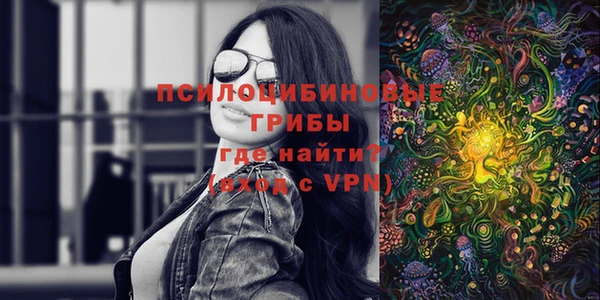 дурь Аркадак