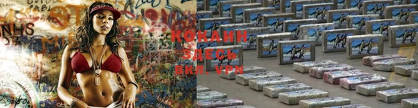 дурь Аркадак