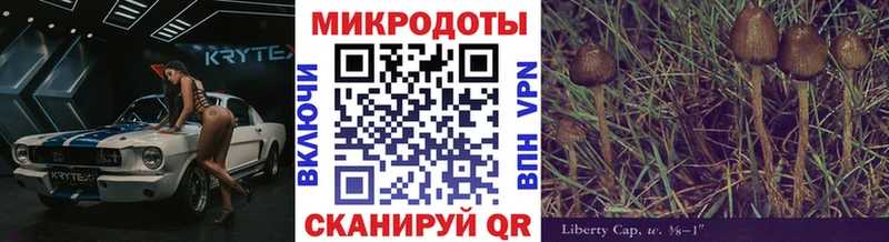 Галлюциногенные грибы Magic Shrooms  Жуковка 