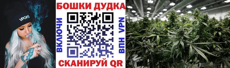omg ссылка  Жуковка  Бошки марихуана THC 21% 